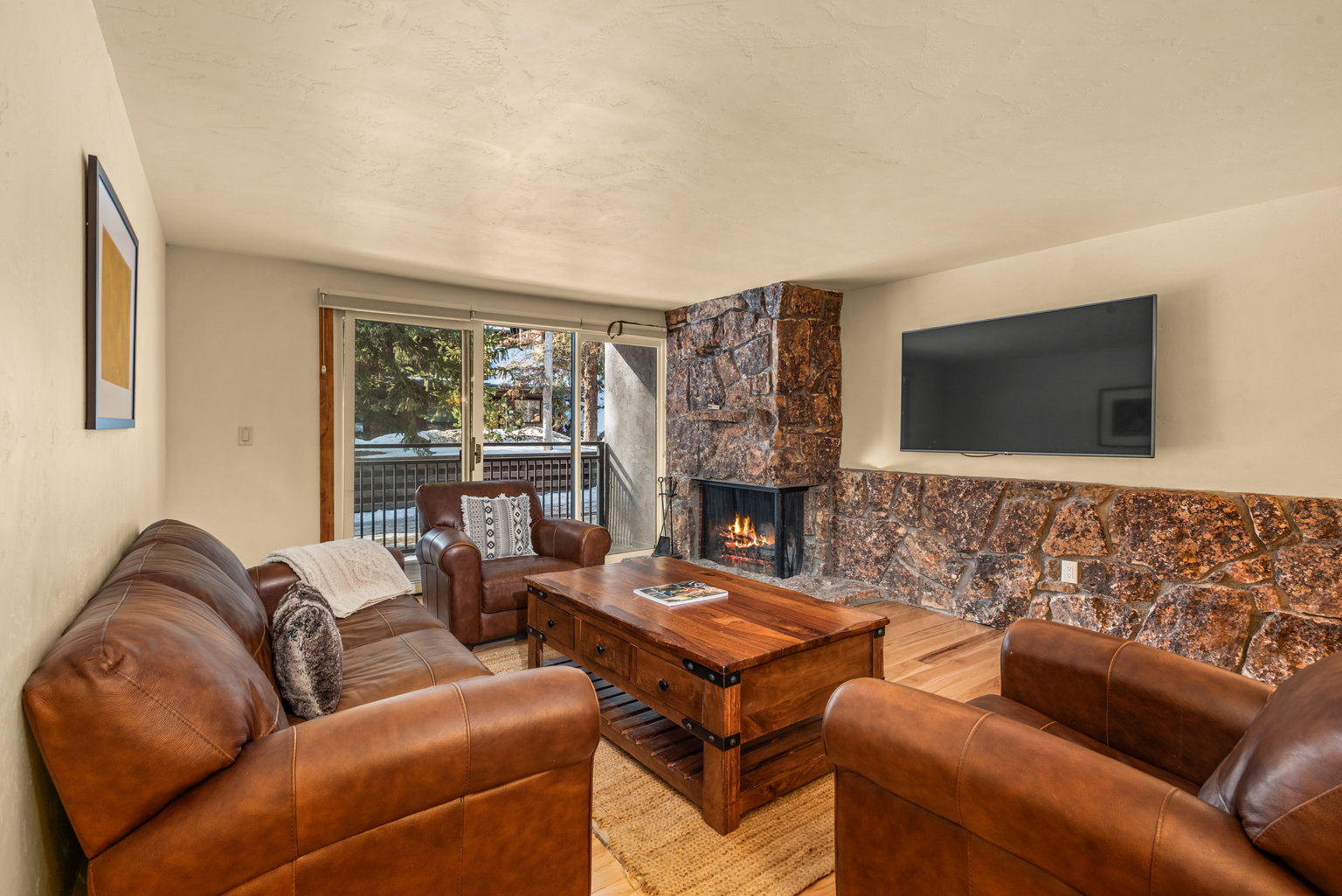 Aspen Vacation Rental