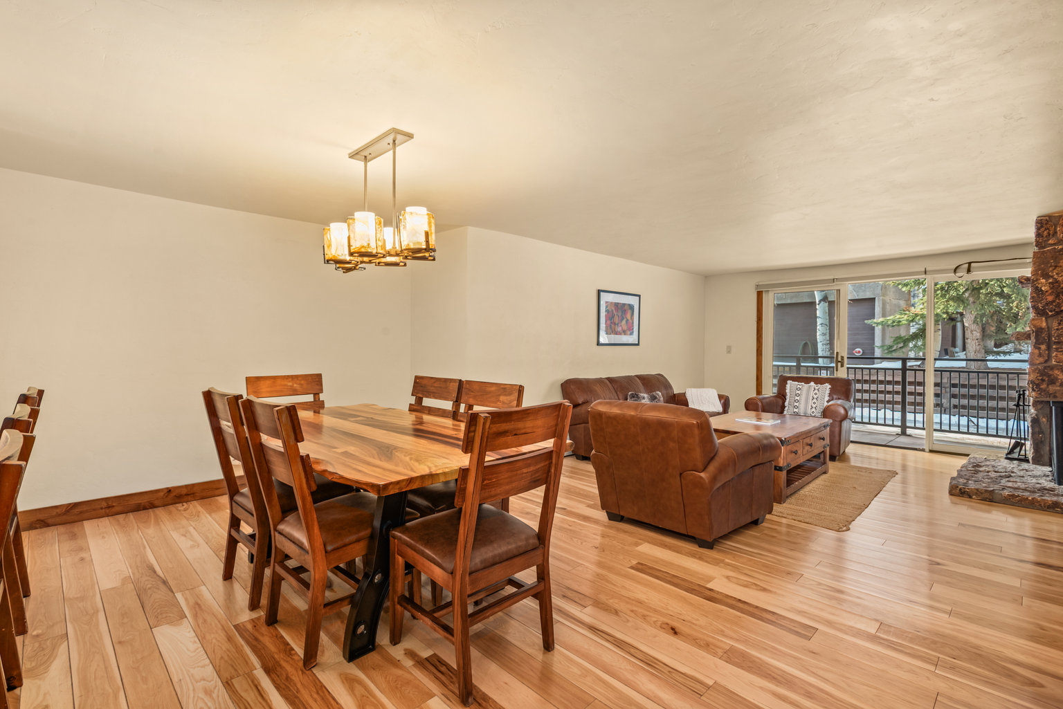 Aspen Vacation Rental