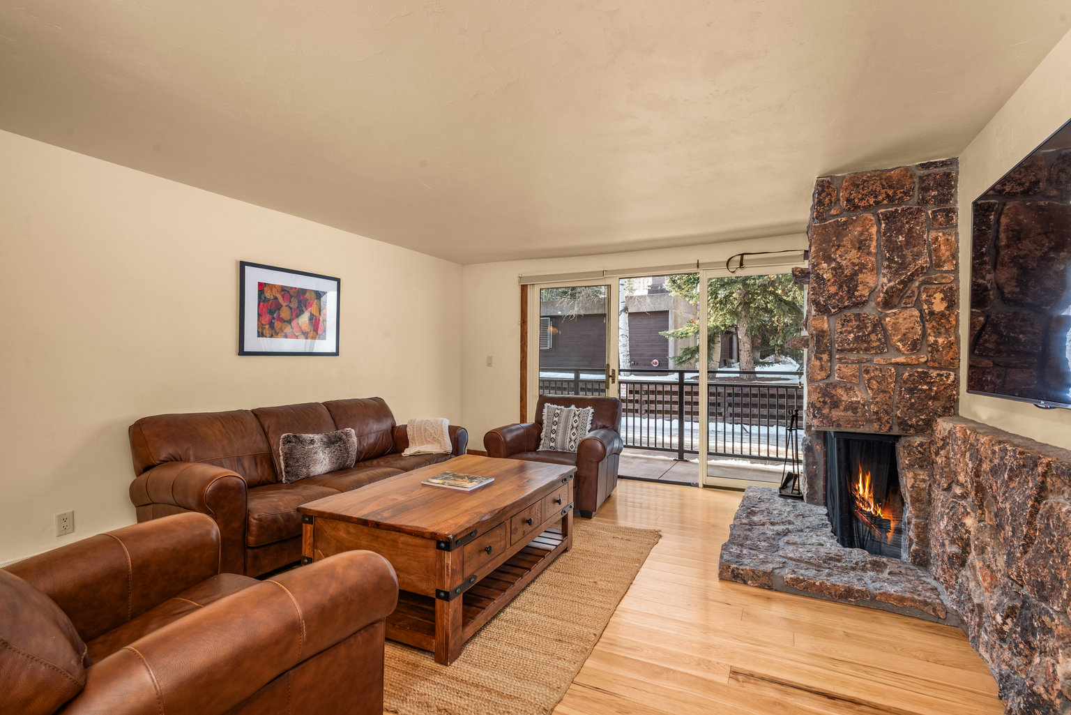 Aspen Vacation Rental
