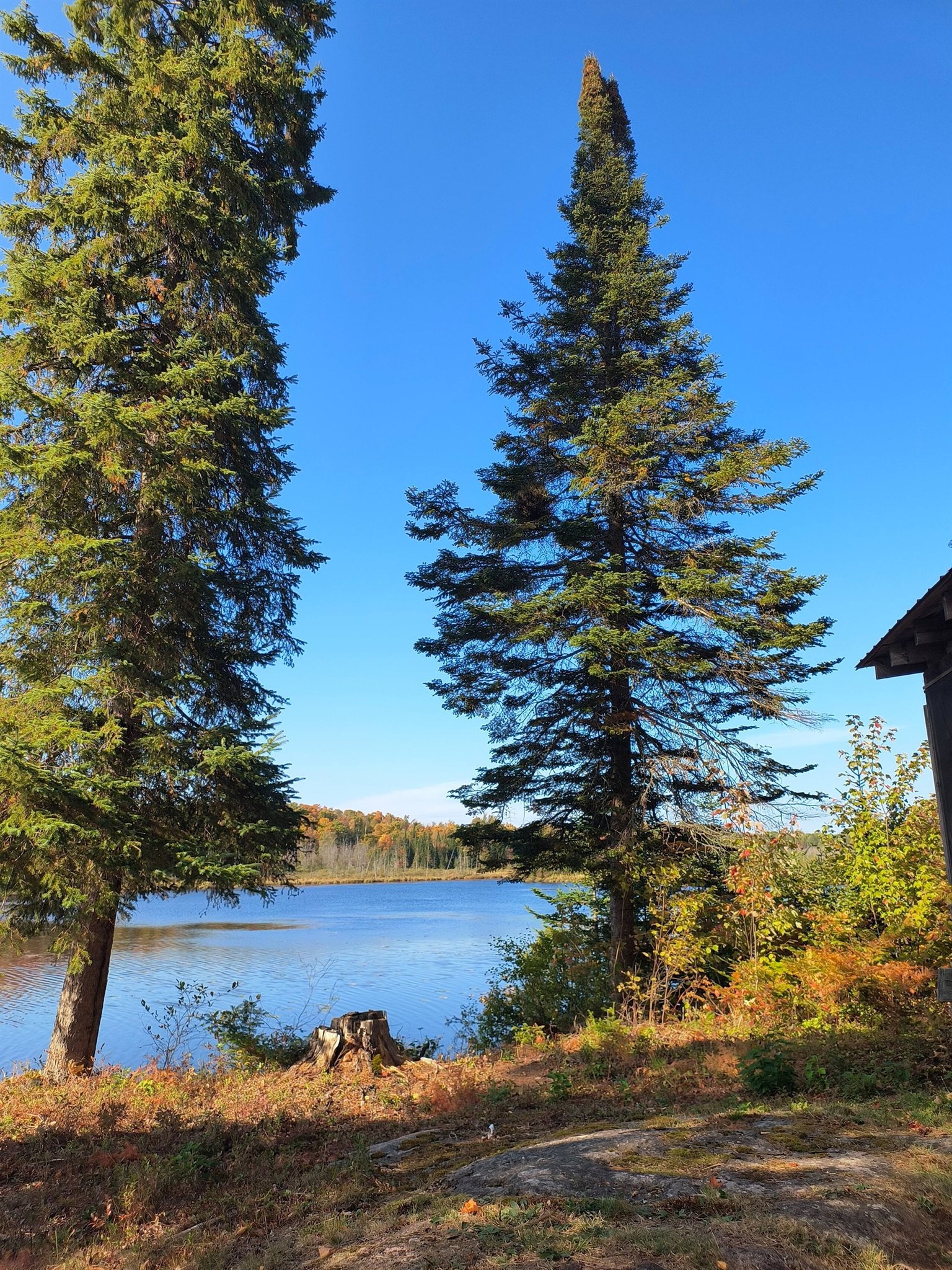 BANCROFT Vacation Rental