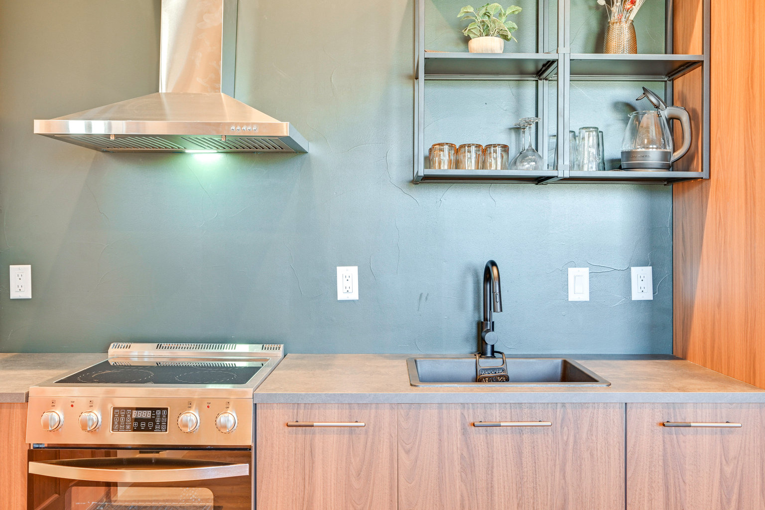 Buena Vista Vacation Rental