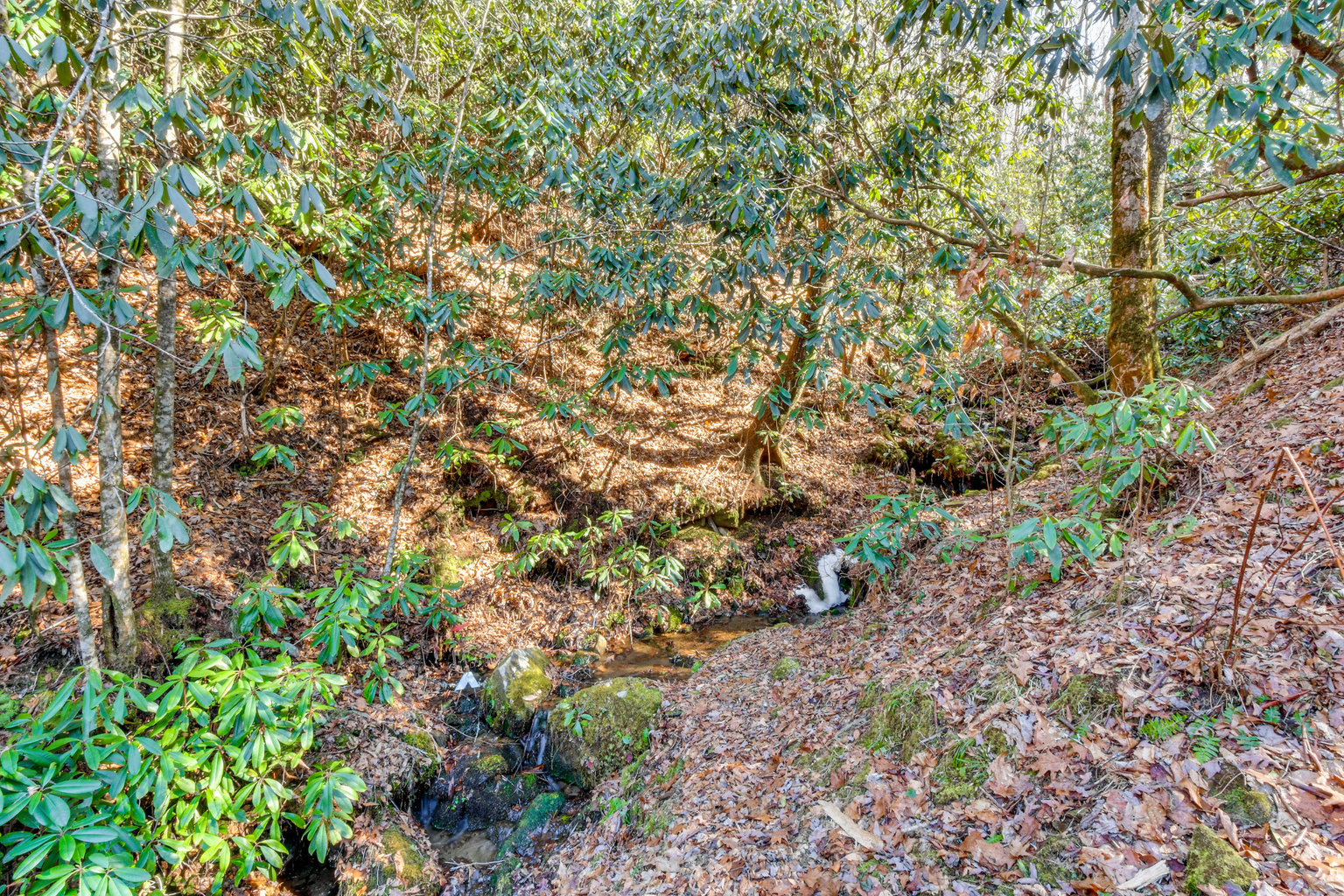 Topton Vacation Rental