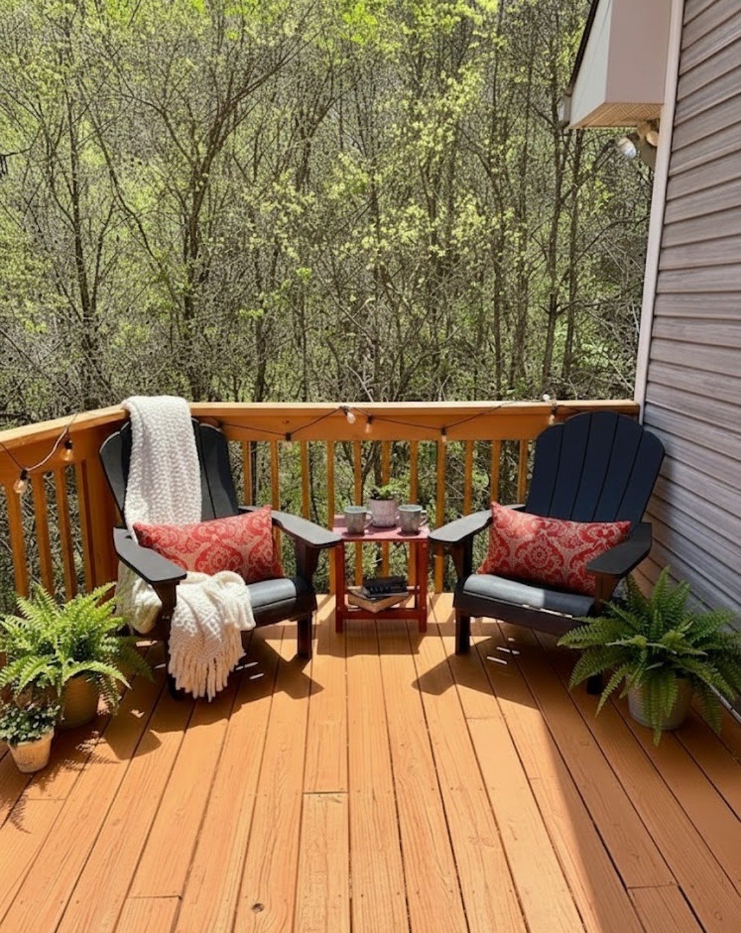 Barnardsville Vacation Rental
