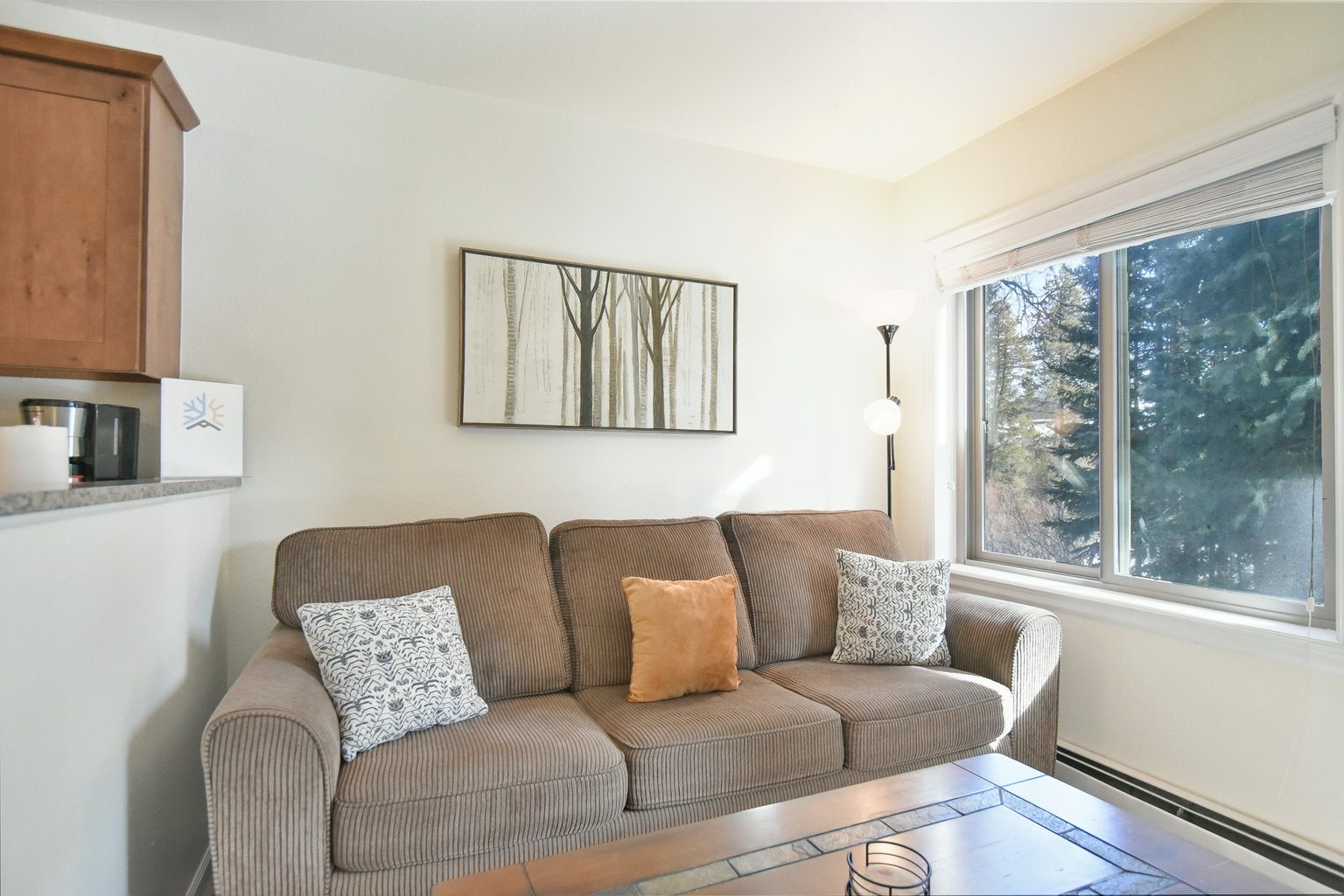 Breckenridge Vacation Rental