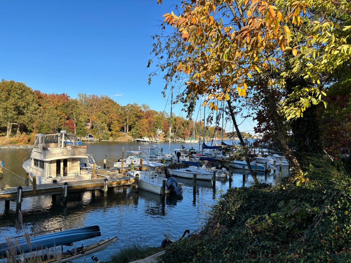 Annapolis Vacation Rental