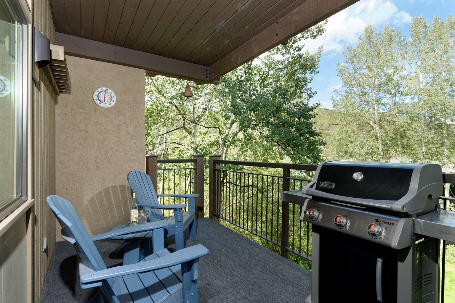 Snowmass Village Vacation Rental