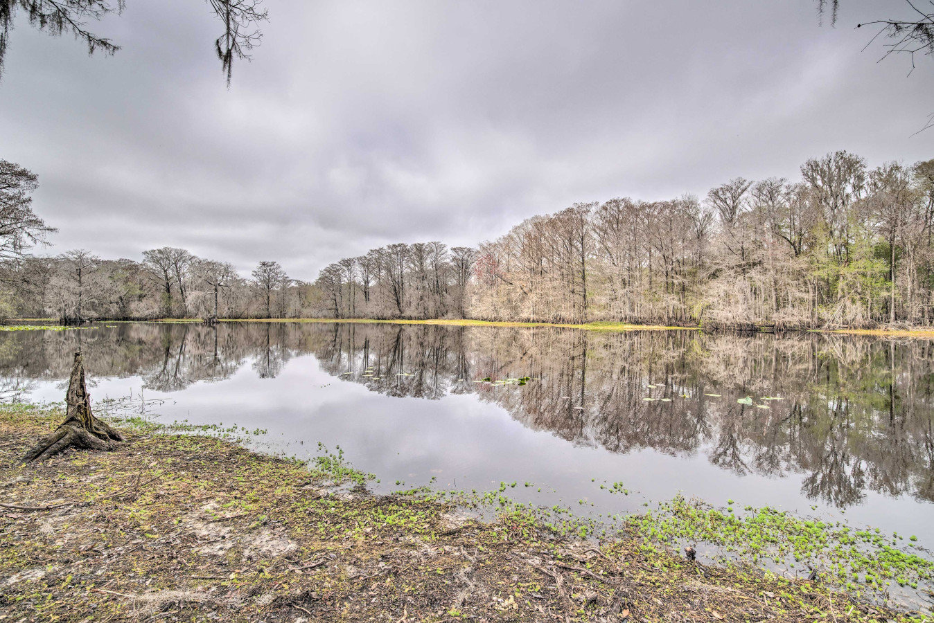 Bushnell Vacation Rental