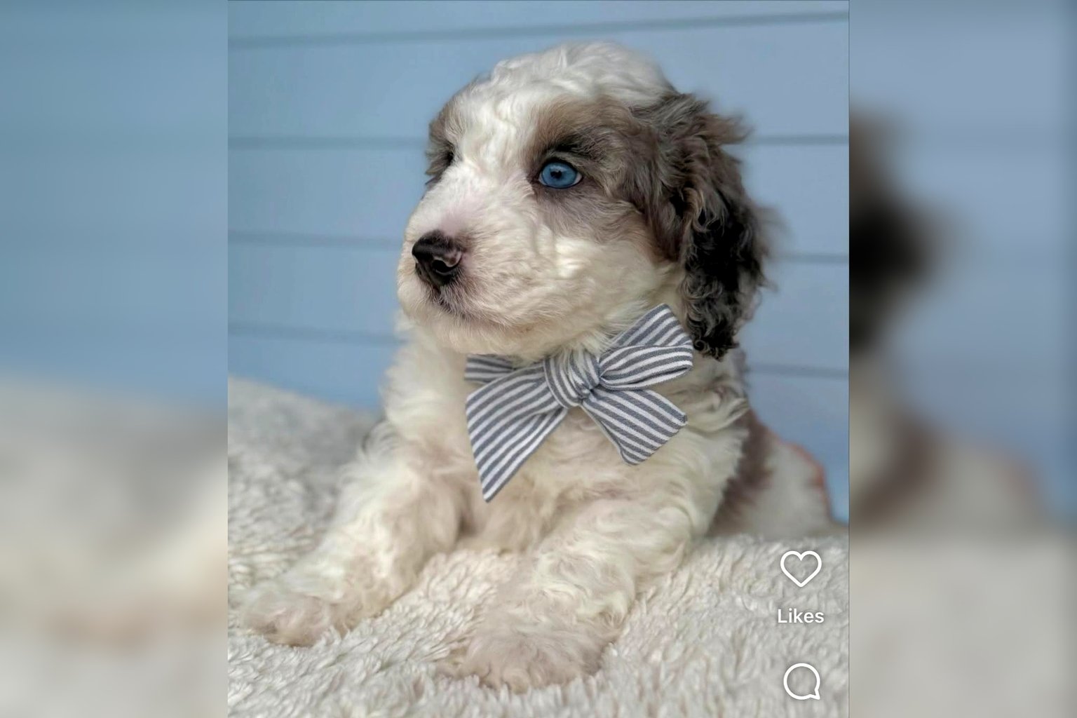 Pigeon Forge Vacation Rental