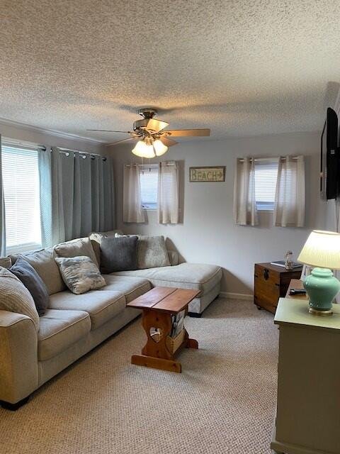 Cape May Vacation Rental