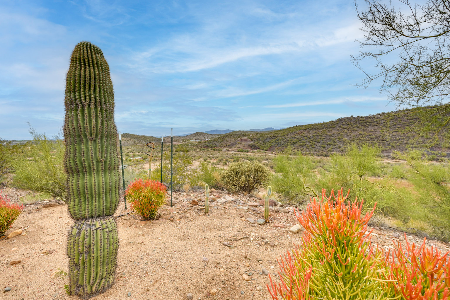 Wickenburg Vacation Rental