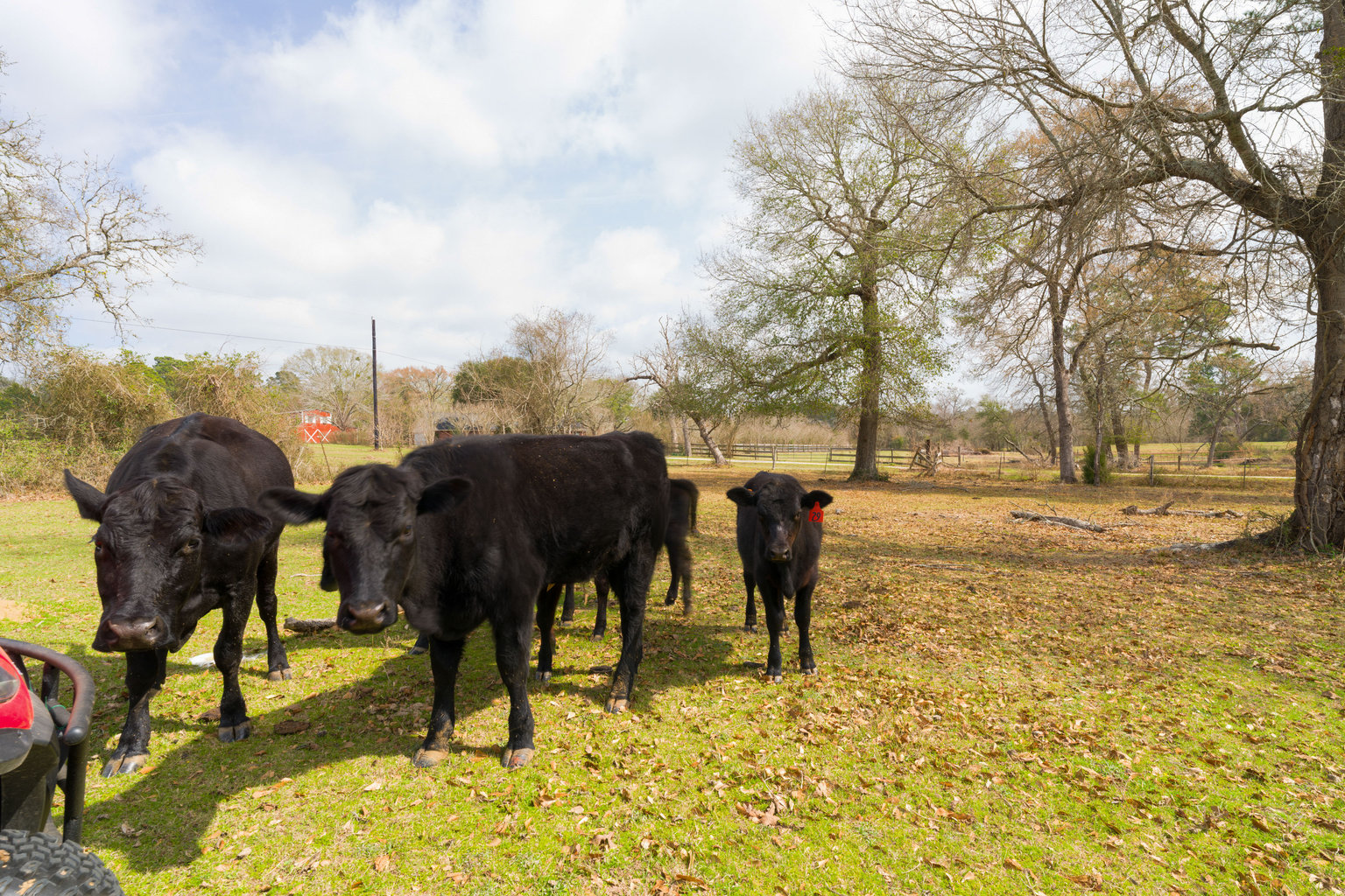 Plantersville Vacation Rental