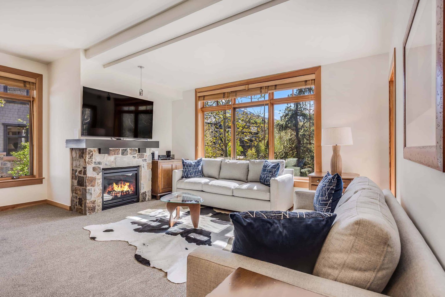 Snowmass Vacation Rental