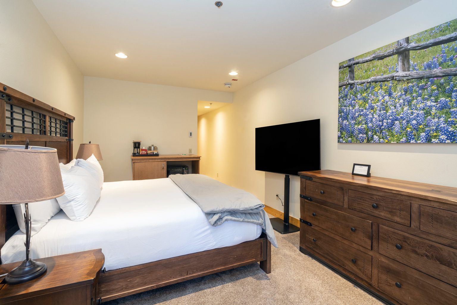 Mountain Village Vacation Rental