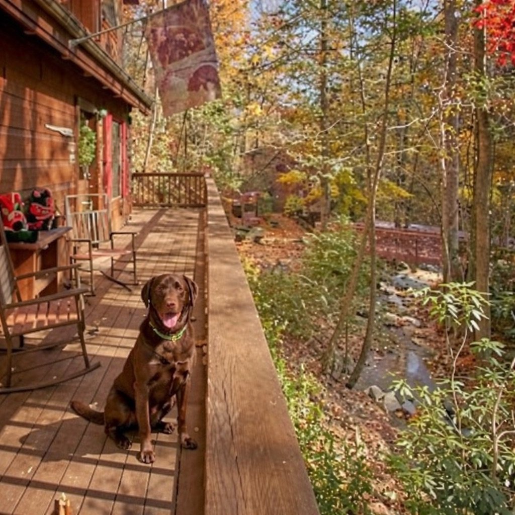 Gatlinburg Vacation Rental