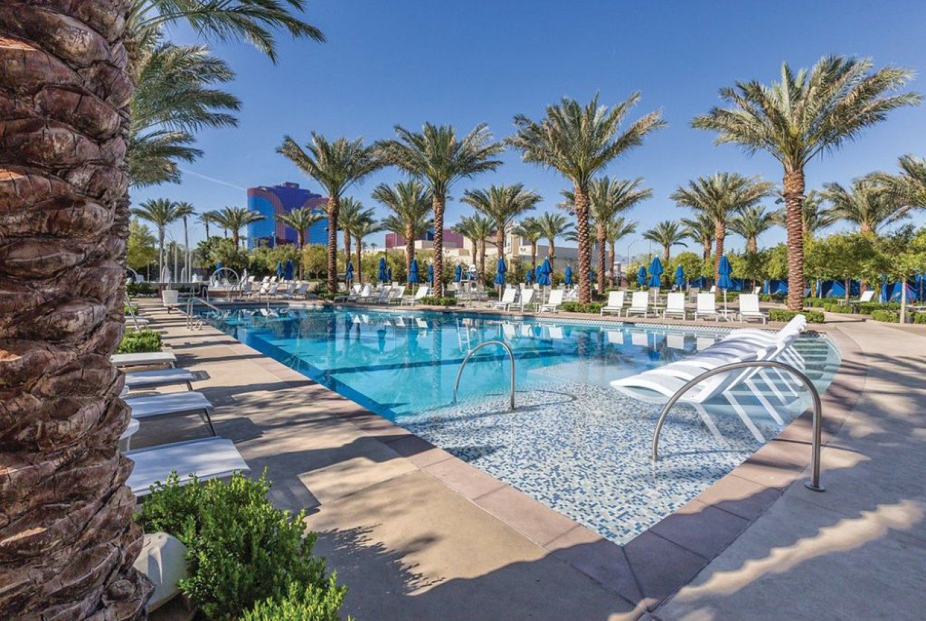 Las Vegas Vacation Rental