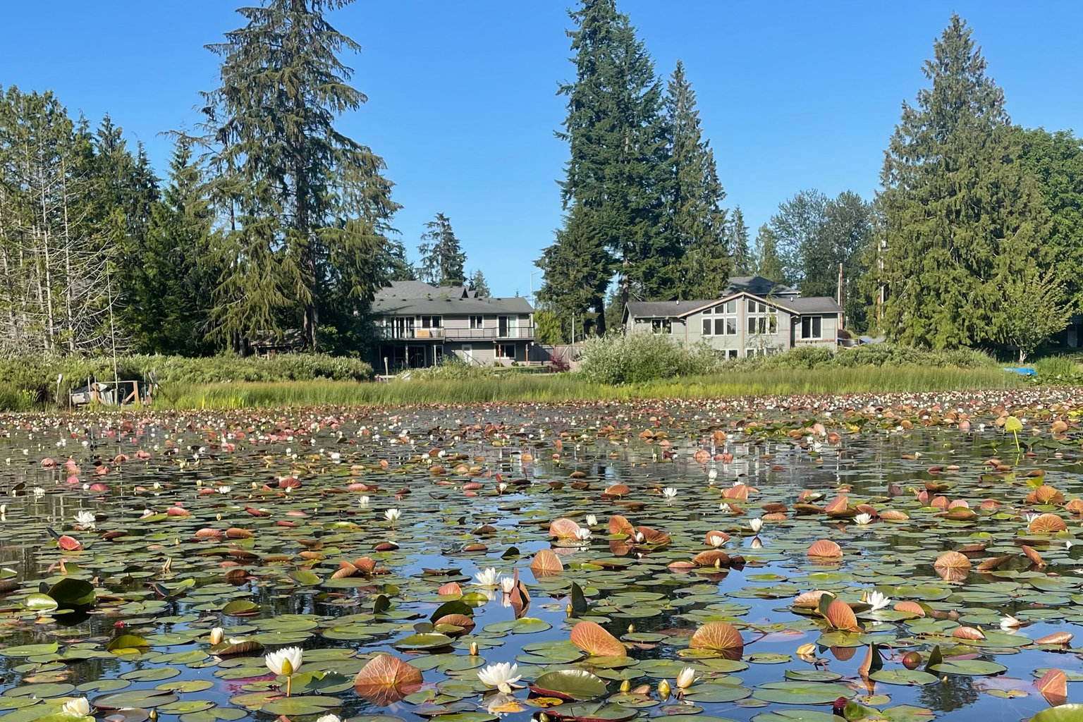 Everett Vacation Rental