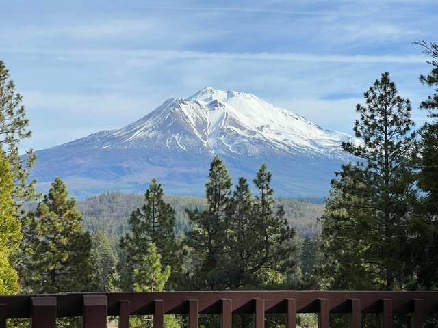 Weed Vacation Rental