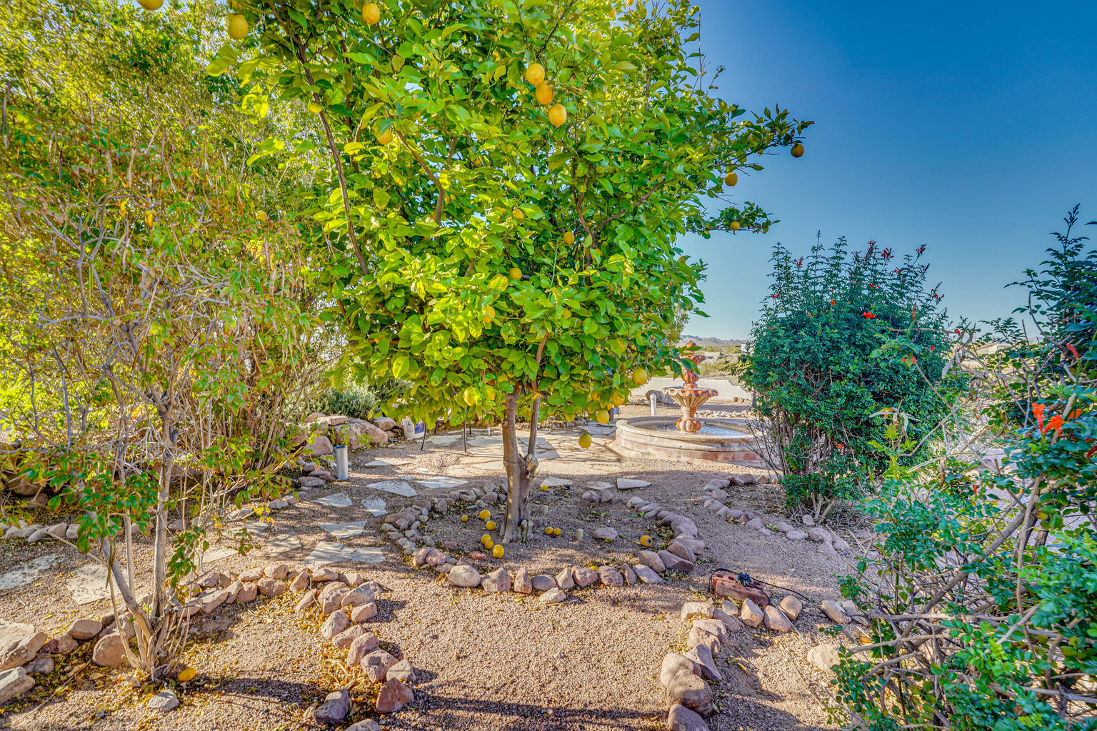 Apache Junction Vacation Rental