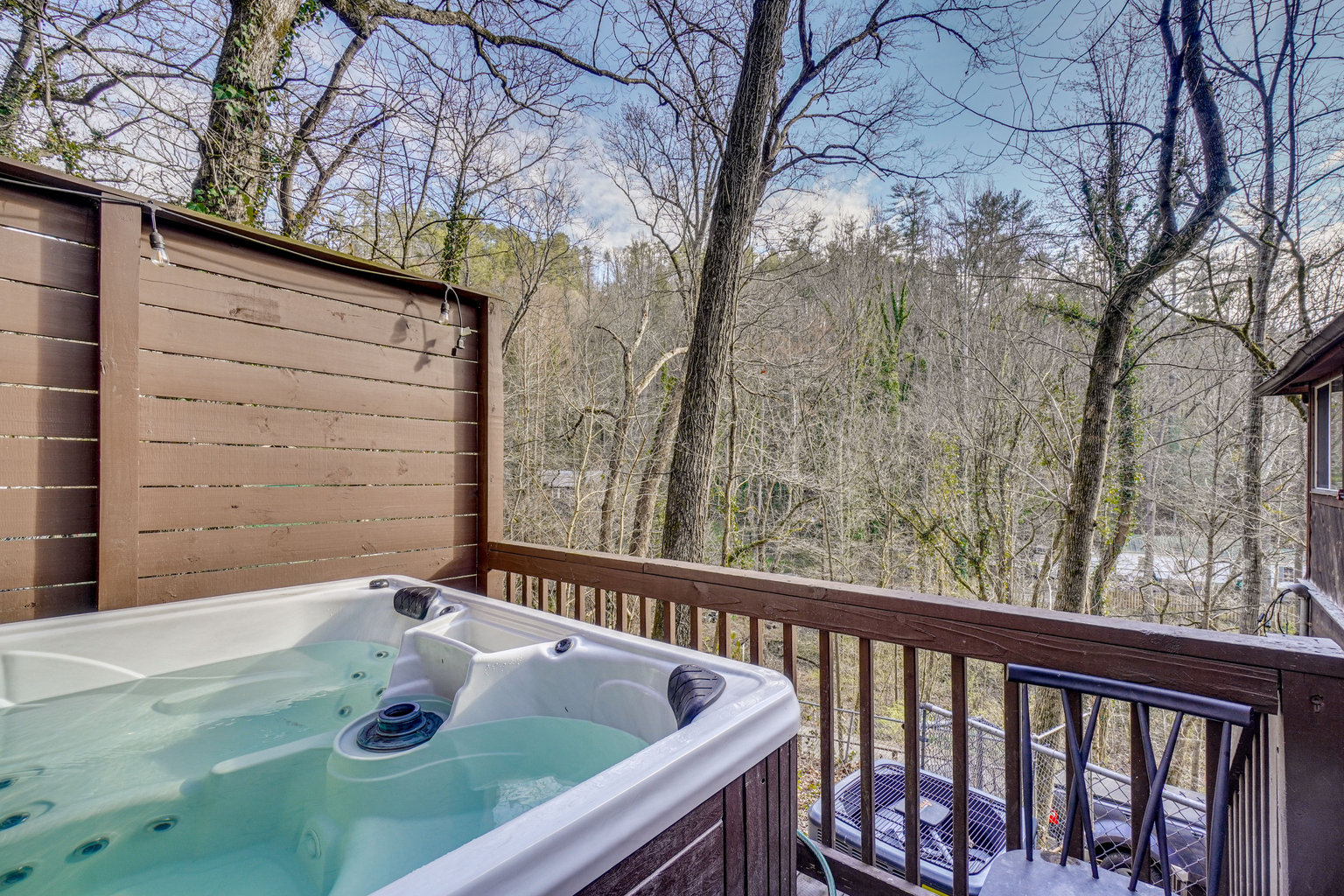 Townsend Vacation Rental