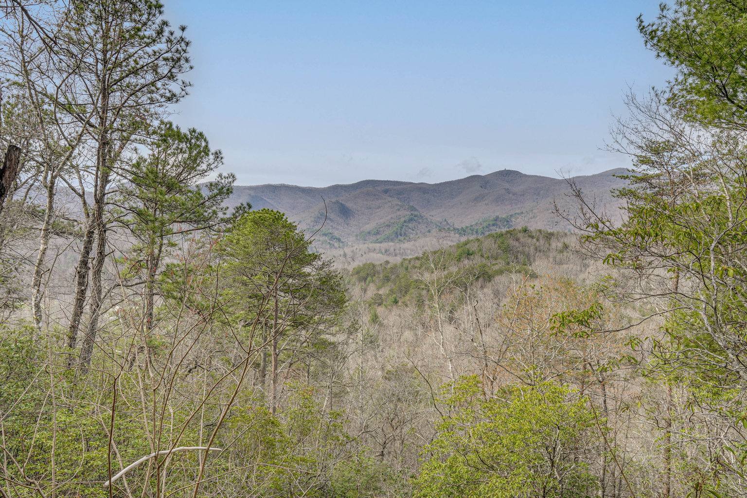 Hiawassee Vacation Rental