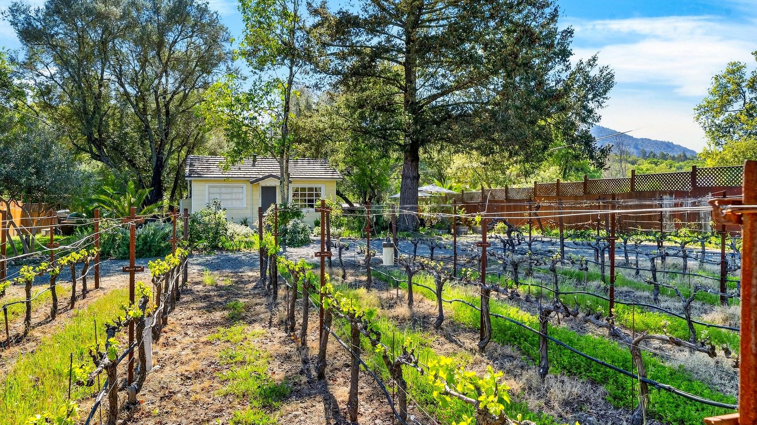 Glen Ellen Vacation Rental