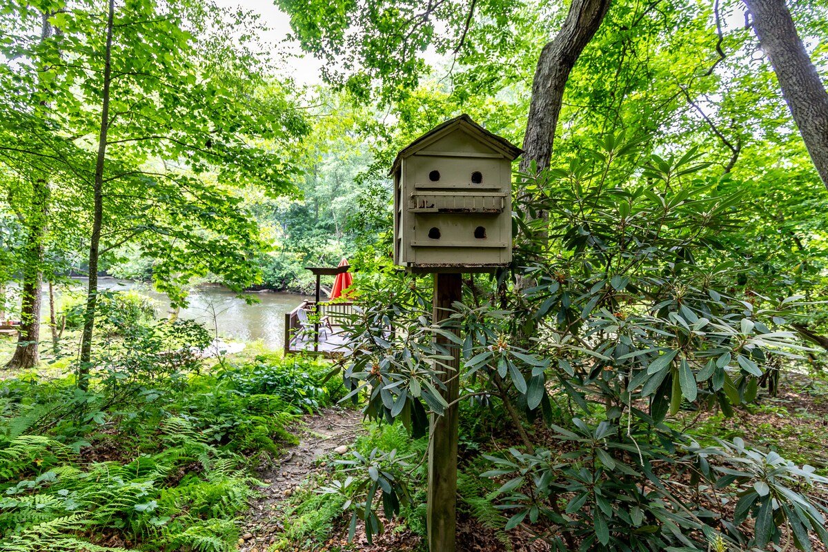 Ellijay Vacation Rental