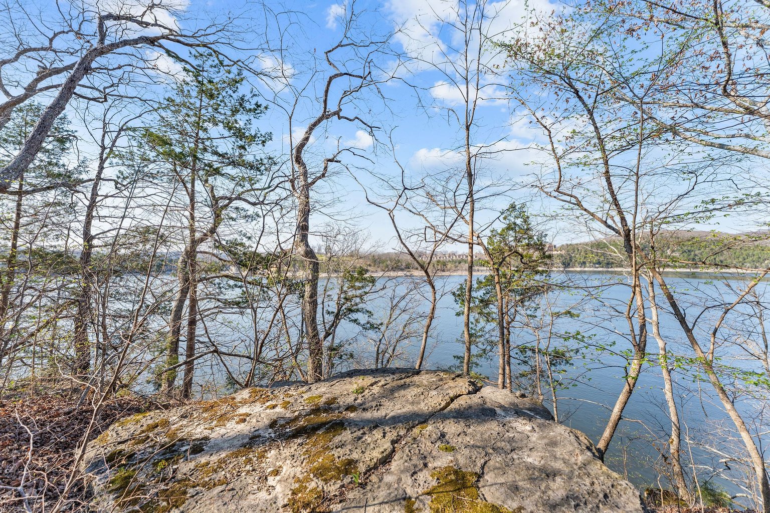 Ridgedale Vacation Rental