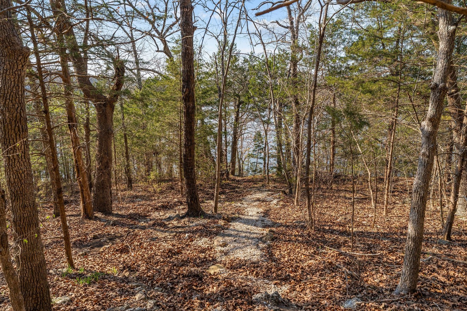 Ridgedale Vacation Rental