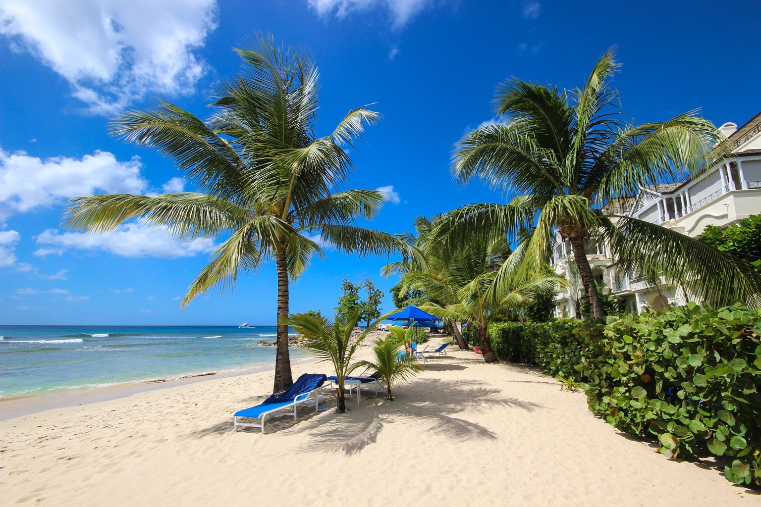 Speightstown Vacation Rental