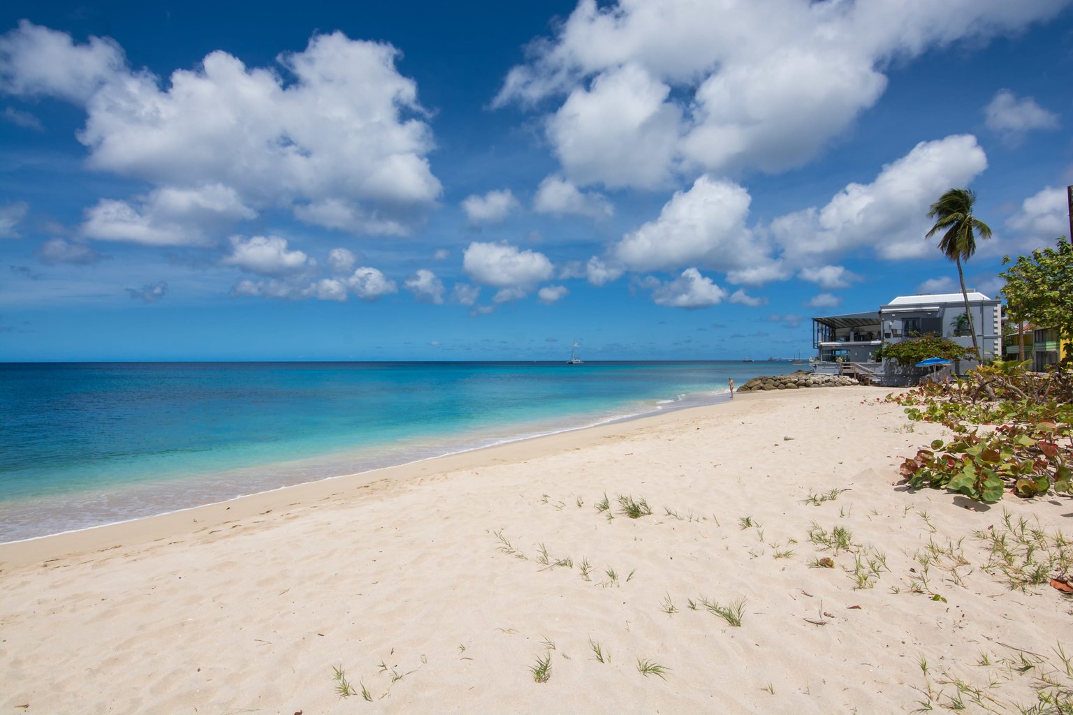 Speightstown Vacation Rental