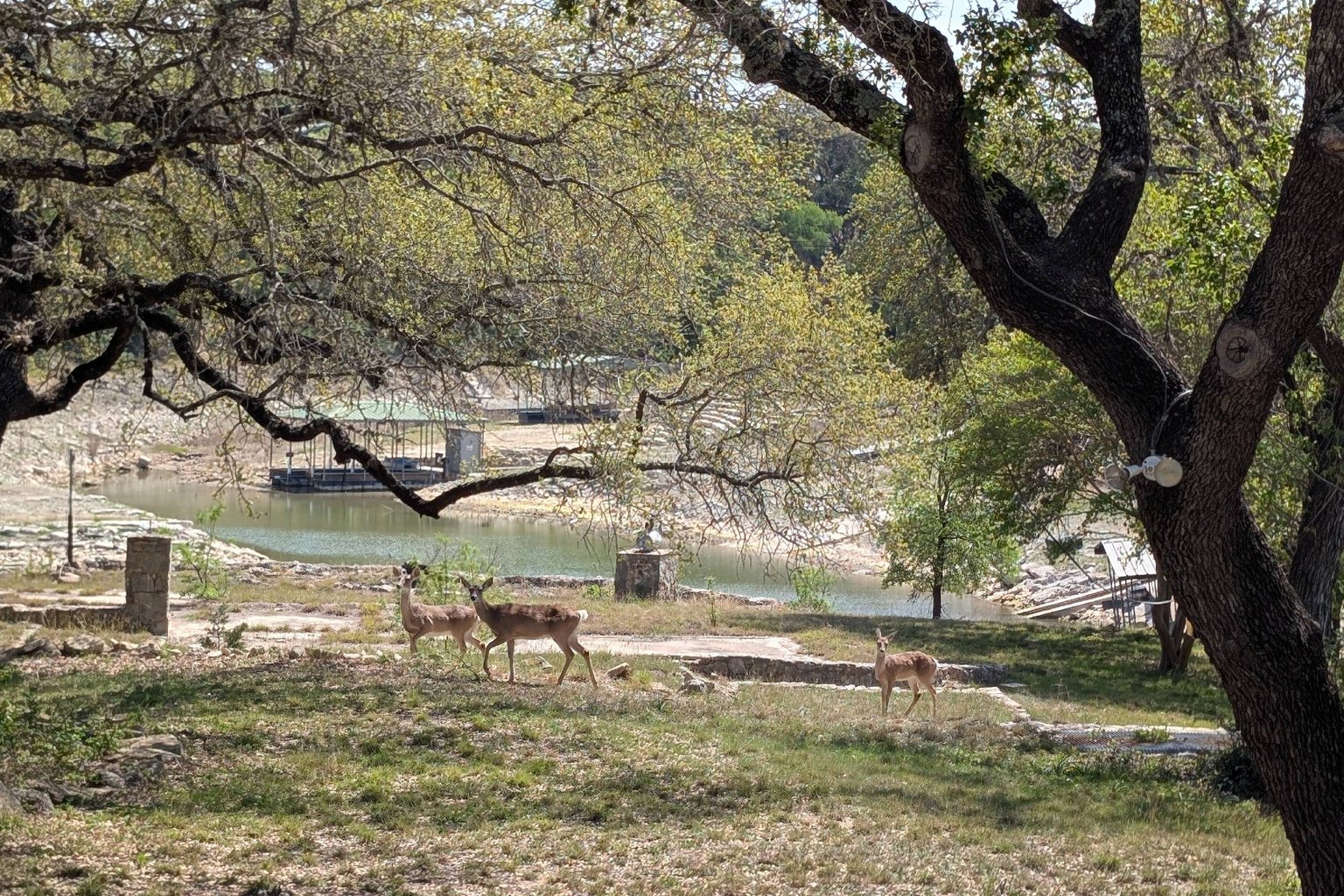 Austin Vacation Rental