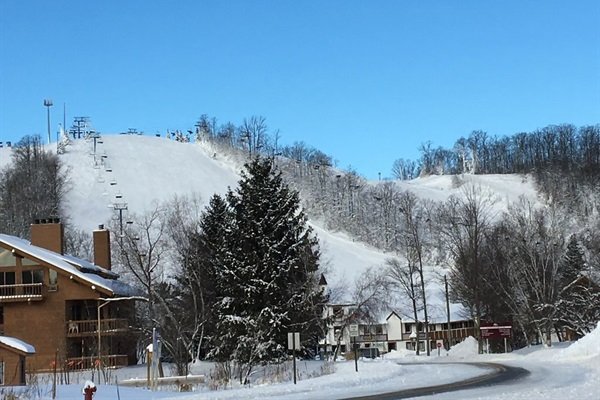 Mancelona Vacation Rental