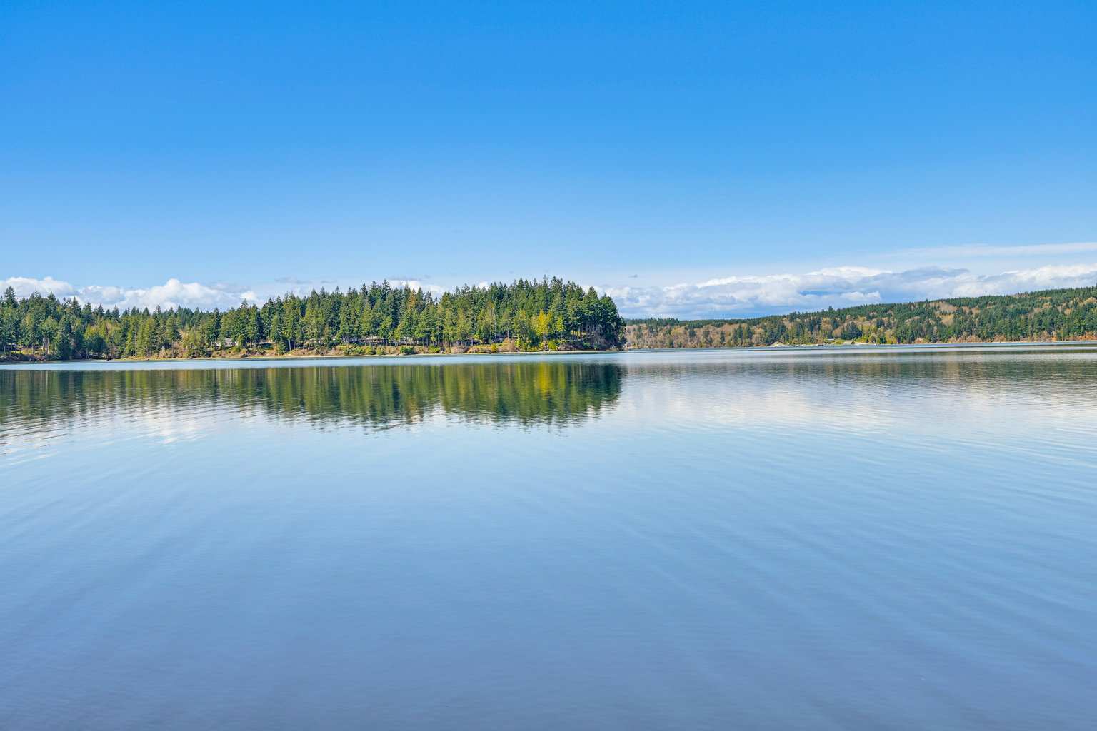 Olympia Vacation Rental