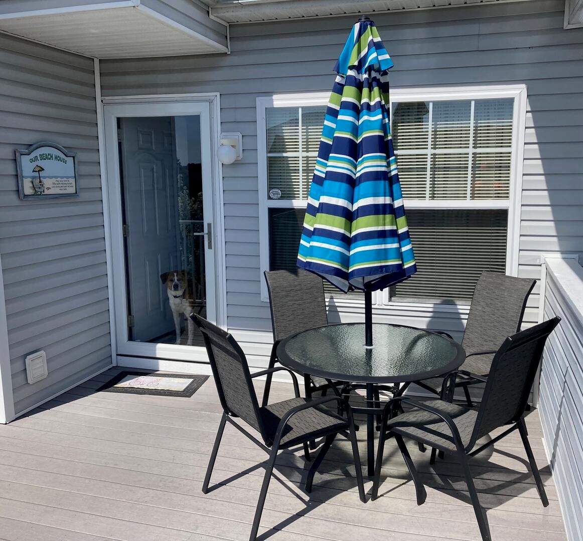 Ocean View Vacation Rental