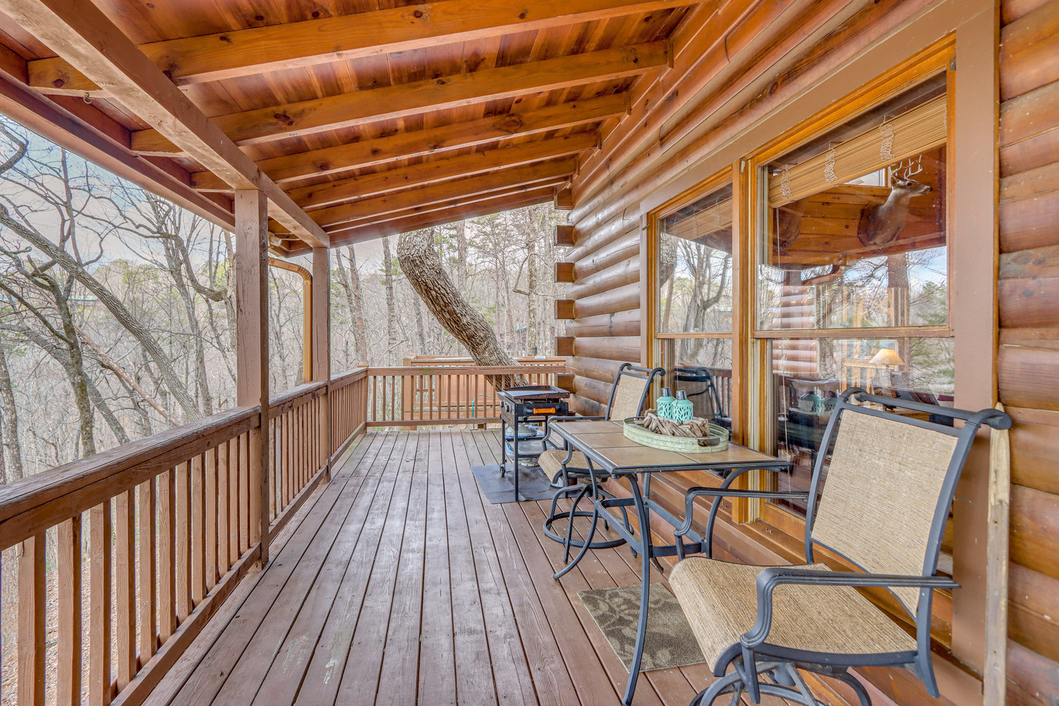 Blue Ridge Vacation Rental