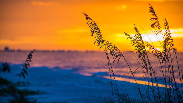 Sanibel Vacation Rental