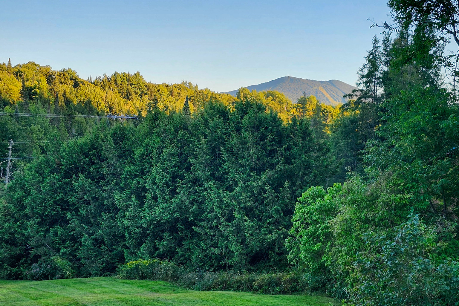 Burke Vacation Rental