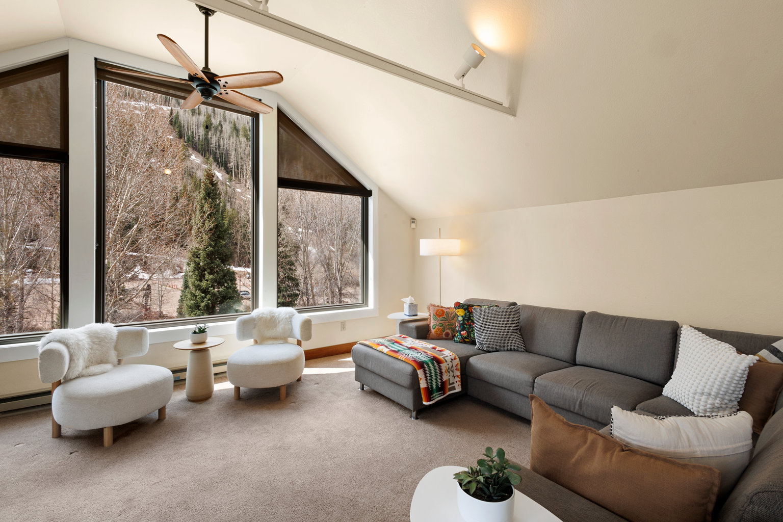 Telluride Vacation Rental
