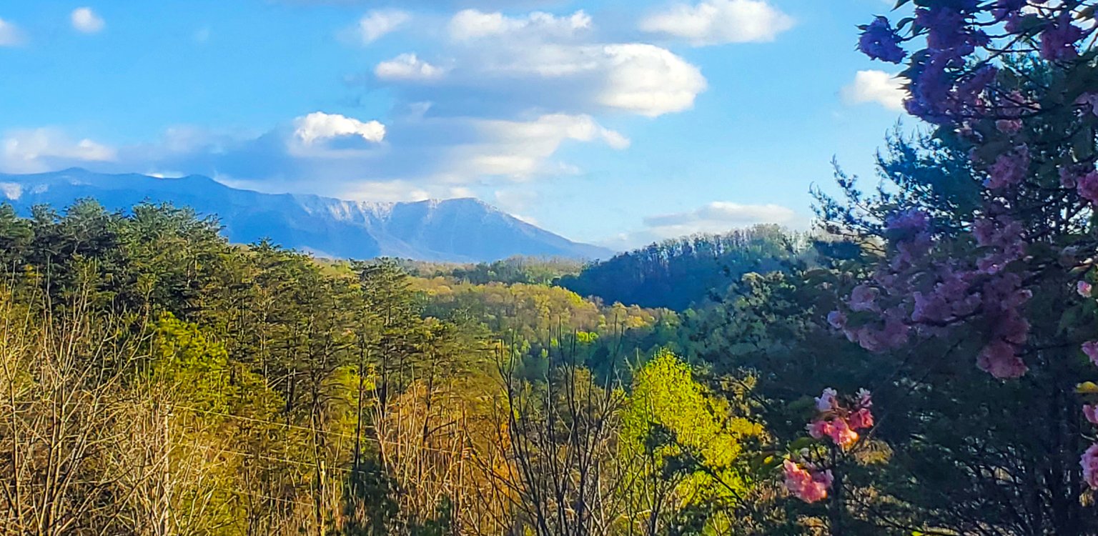 GATLINBURG Vacation Rental