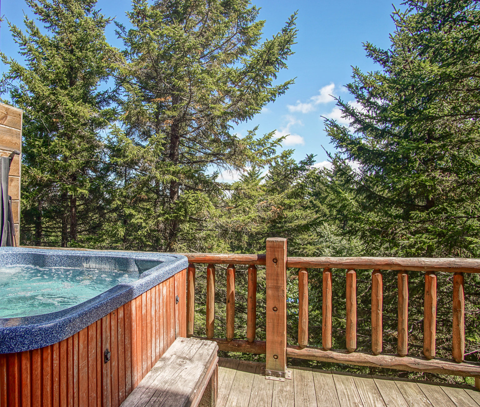 Snowshoe Vacation Rental