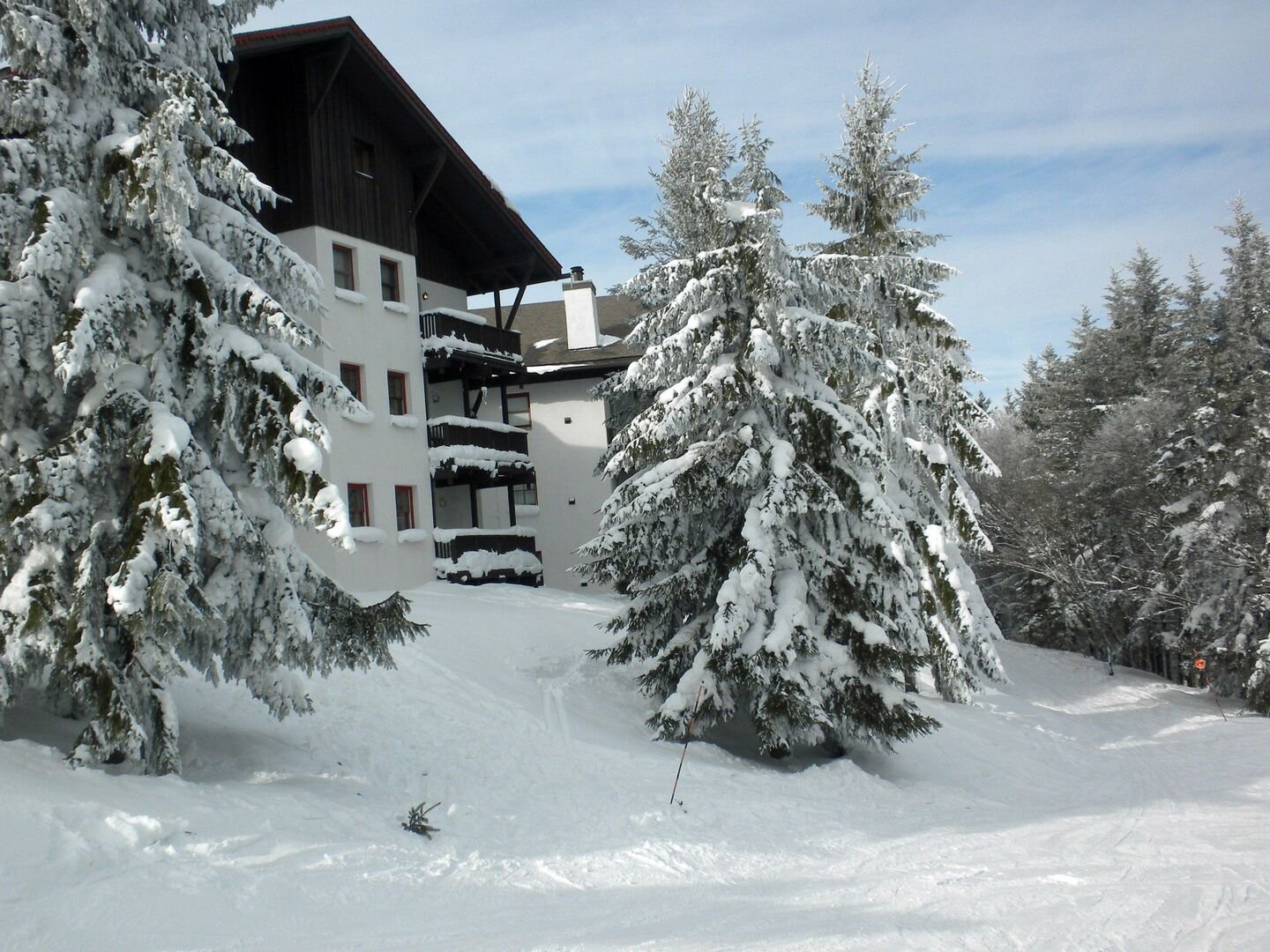 Snowshoe Vacation Rental