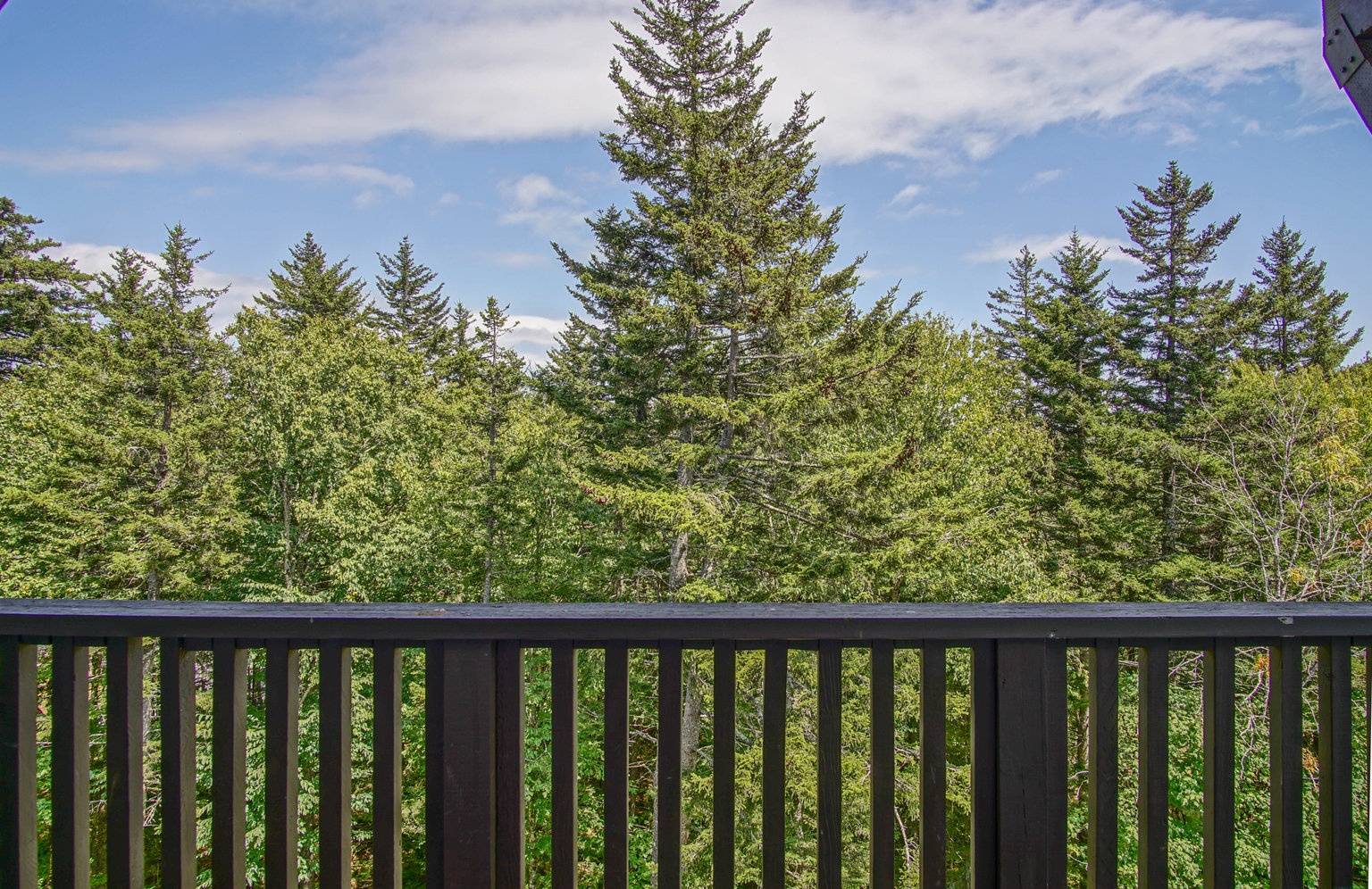 Snowshoe Vacation Rental