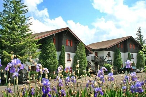 Snowshoe Vacation Rental
