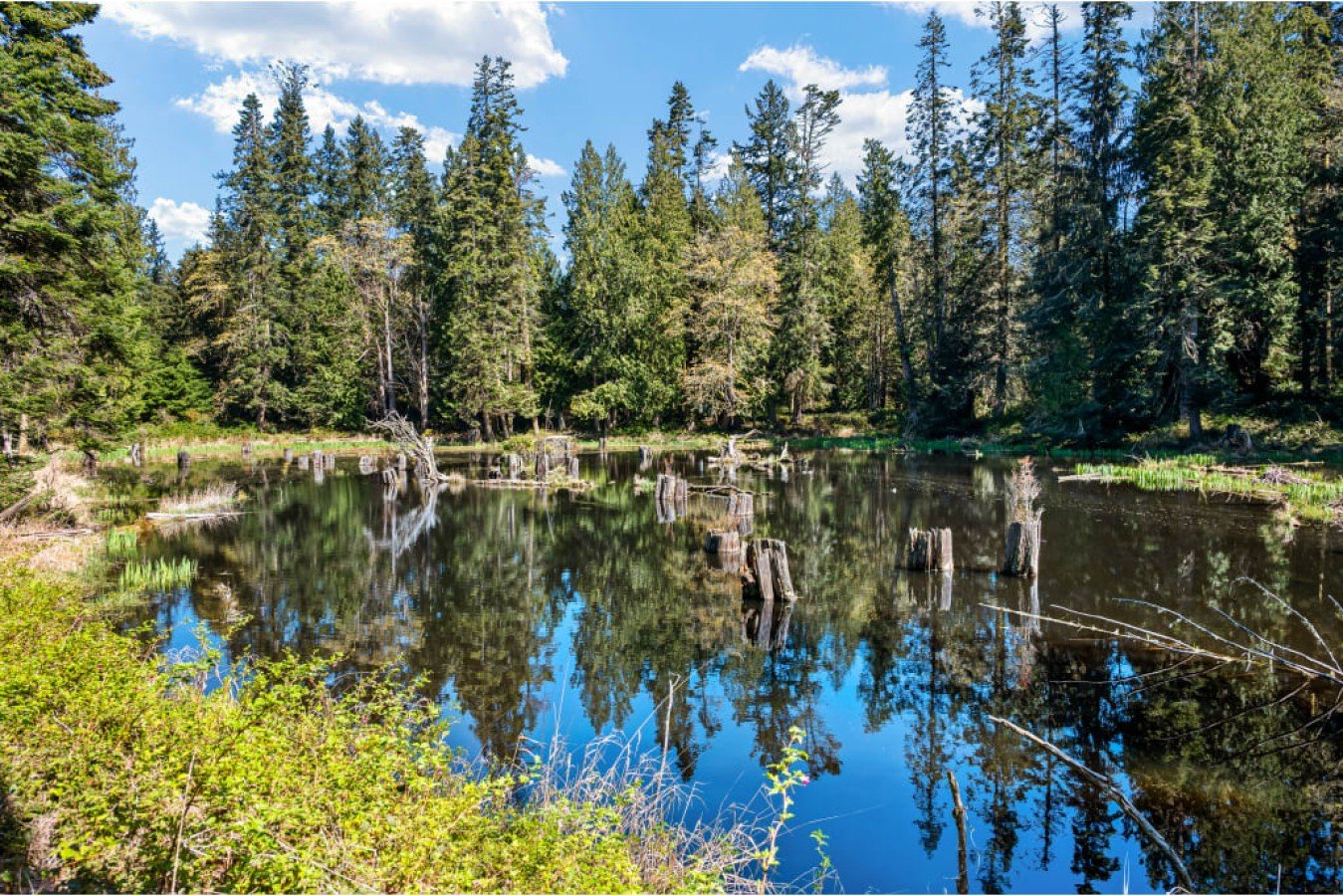 Camano Vacation Rental