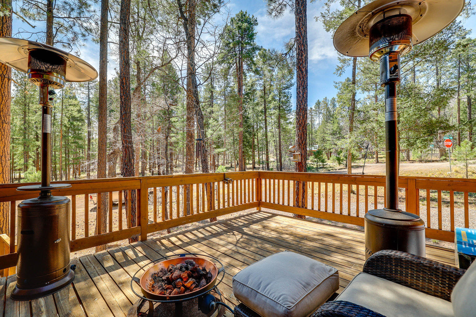 Alpine Vacation Rental