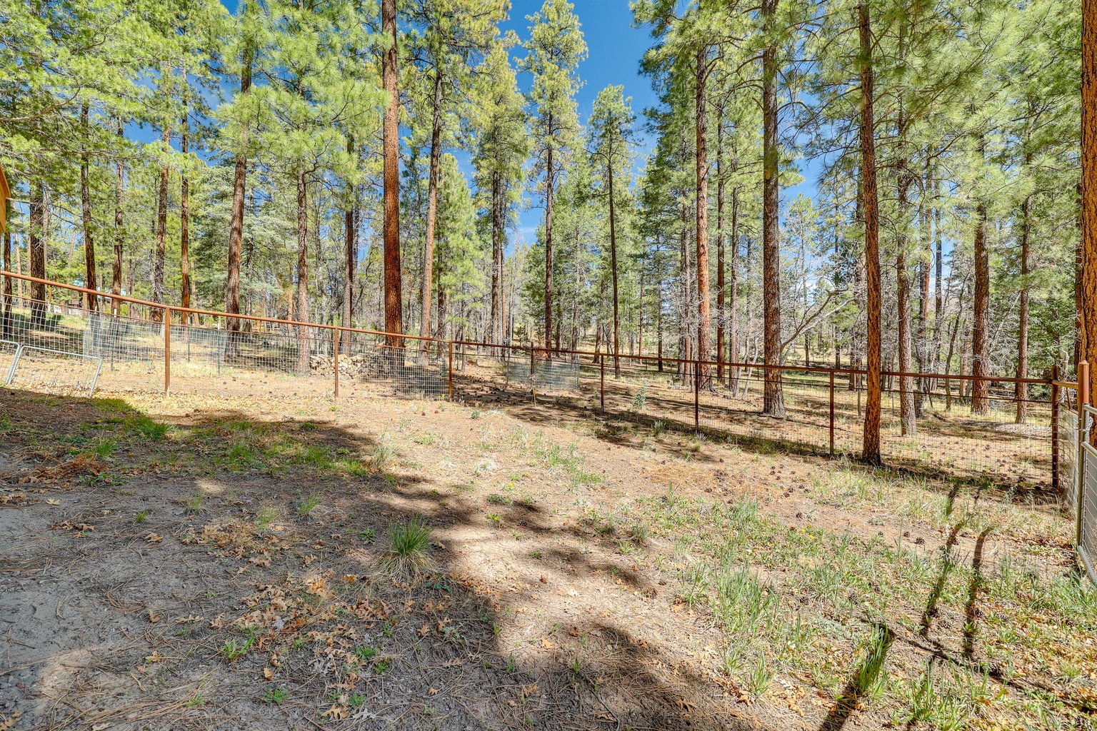 Alpine Vacation Rental