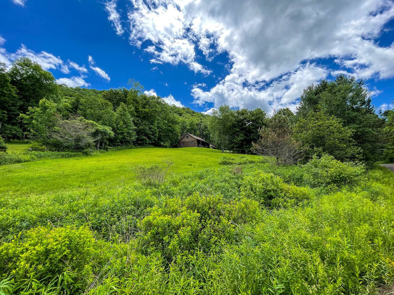 Denver Vacation Rental