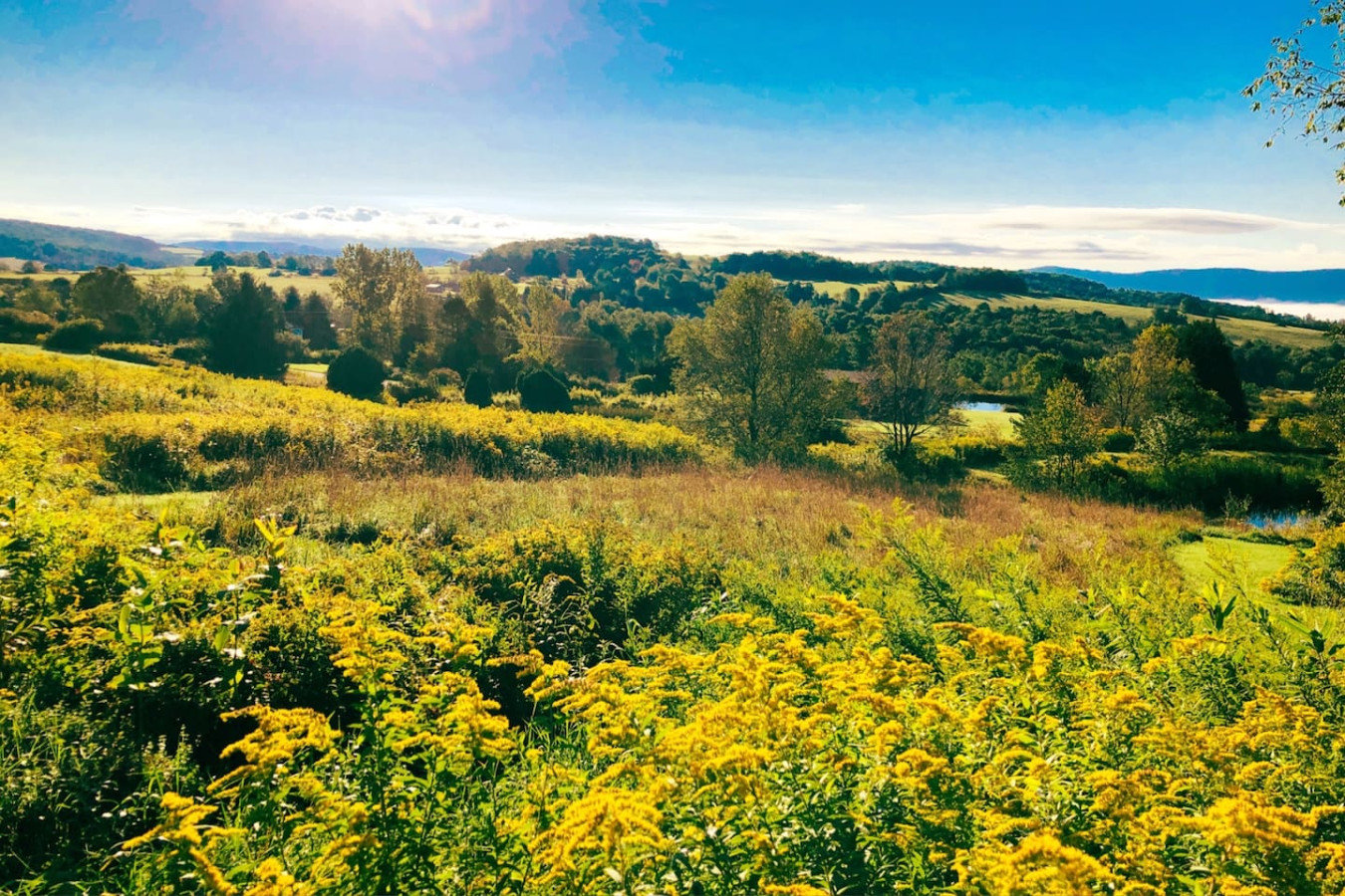 Hamden Vacation Rental