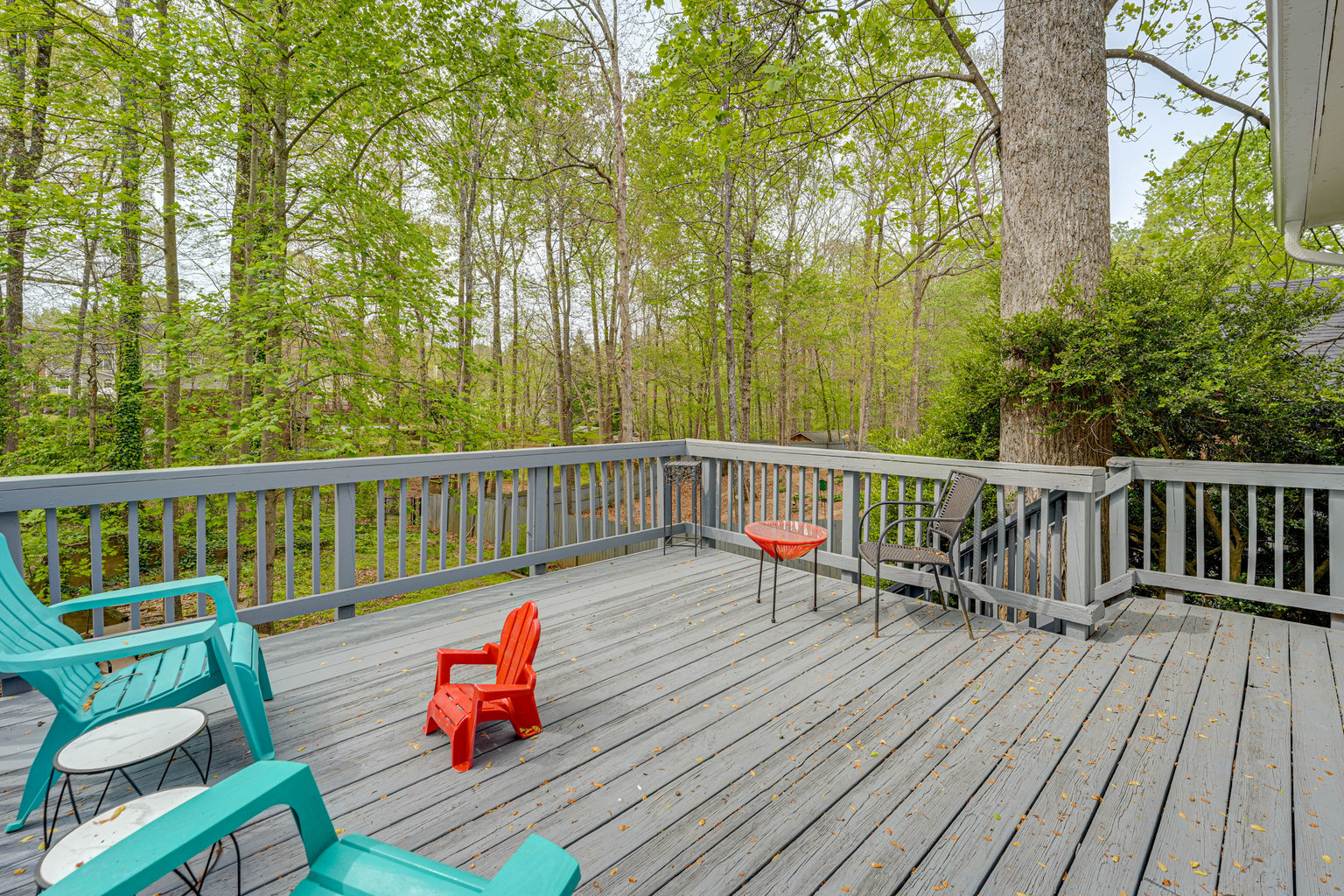Smyrna Vacation Rental