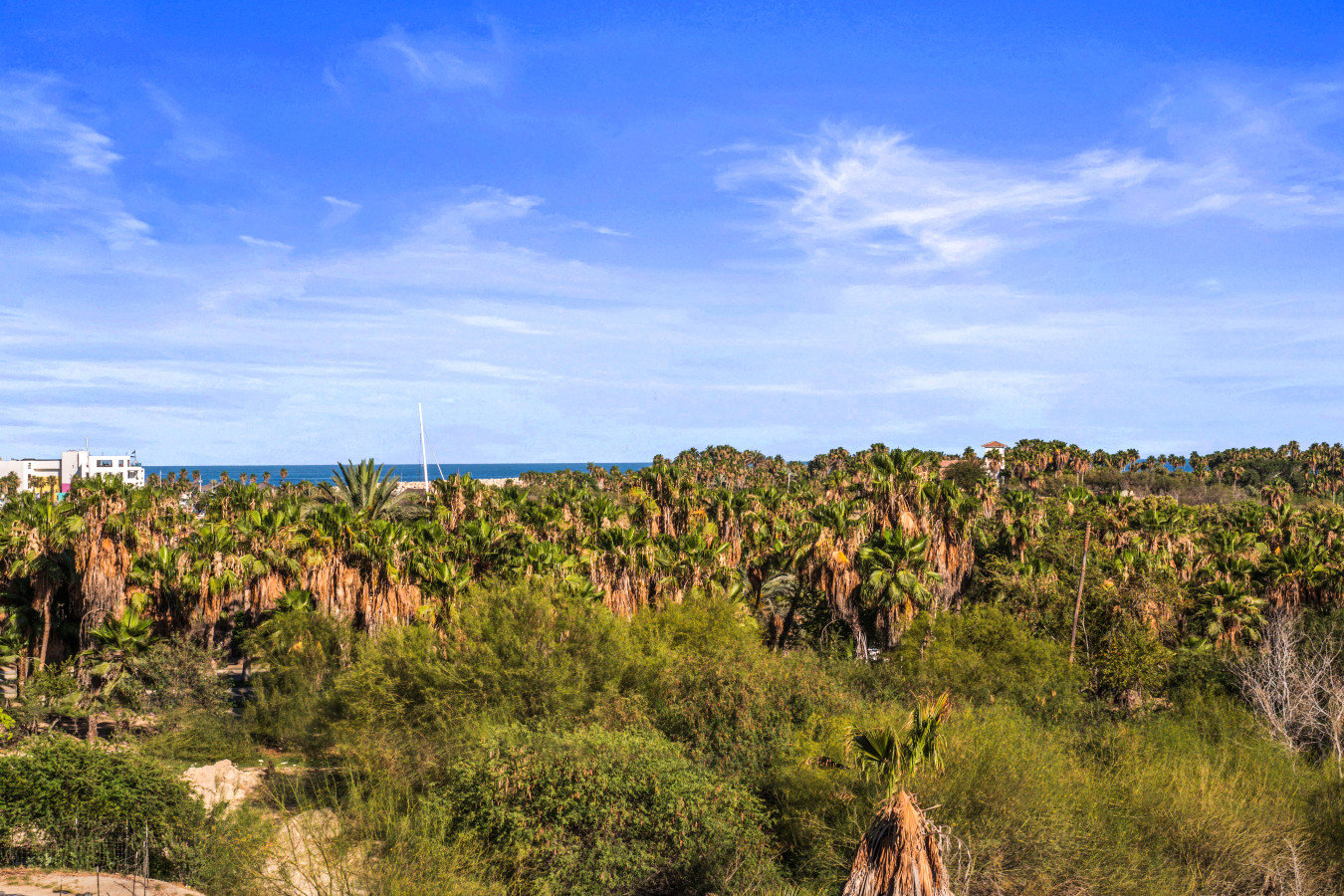 San José del Cabo Vacation Rental